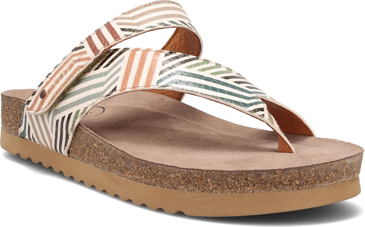 Taos Lola 4 Taos Lola - Image 2