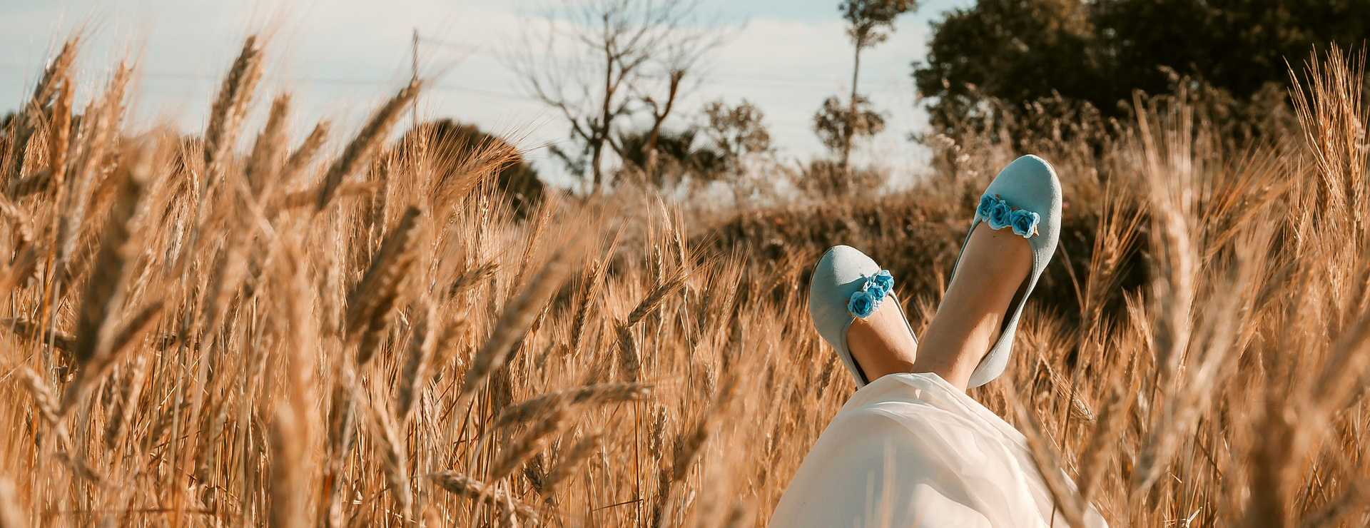 Cheap Shoe Store -Cheap Shoe Store wheat field 6392428 1920